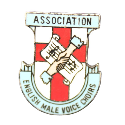 Pin with a crest design on a textured dark background