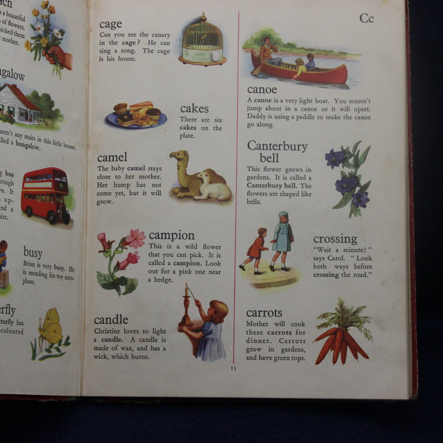 Open book with educational illustrations and text on various topics