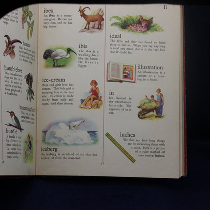 Open book with illustrations and text on various topics