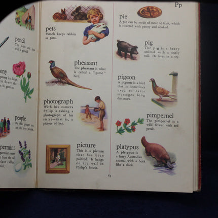 Open book with educational illustrations and text on various topics