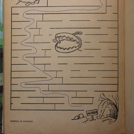 Maze-like design on a cardboard surface with 'Mr Bear' branding.