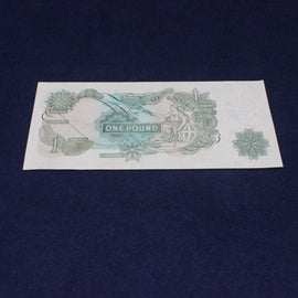 One pound banknote on a dark blue background