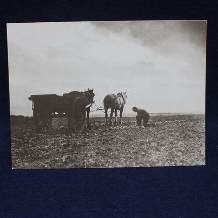 Vintage black and white photo of a farmer with two horses plowing a field.