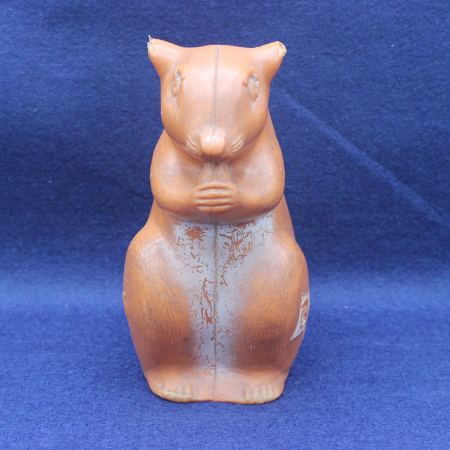 Squirrel moneybox on blue background