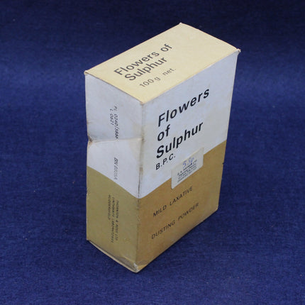 Brown and white flowers of sulphur box on a dark blue background
