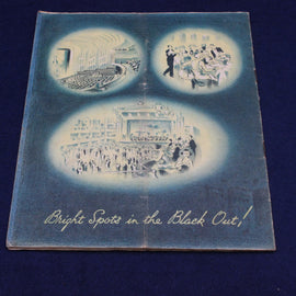 Booklet titled 'Bright Spots in the Black Out' with illustrations on a blue background