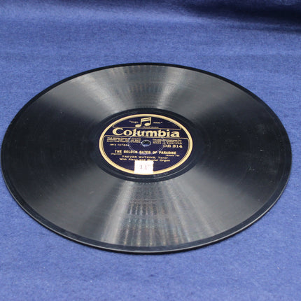 Vinyl record with Columbia label on a blue background