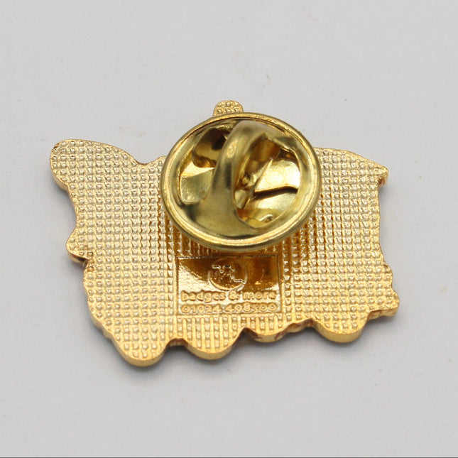 Gold-colored metal pin back with a textured map-like outline and a circular clasp, shown on a plain light gray background.