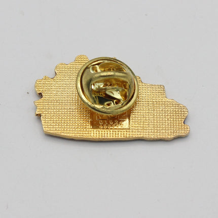 A small gold-colored enamel lapel pin with a textured map-like outline and a circular metal clutch backing, shown on a plain light gray background.