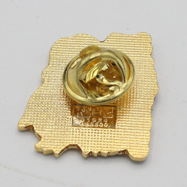 A small gold-colored enamel pin with a textured map-like outline and a circular pin clasp, photographed on a plain light gray background.