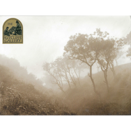 Sutcliffe gallery Photo Print of Trees in a misty valley