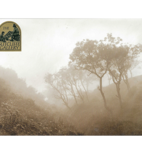 Sutcliffe gallery Photo Print of Trees in a misty valley