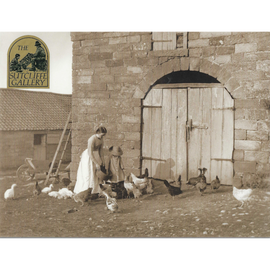 Sutcliffe Gallery Print with farm yard birds being fed by a woman