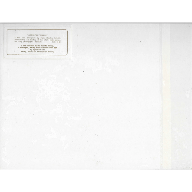 White paper with text on a white background
