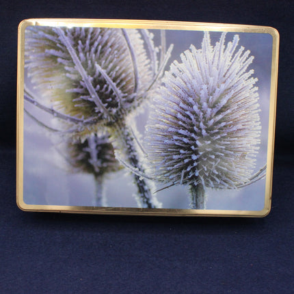 Rectangular metal object with a decorative design of frosted plants on a dark background