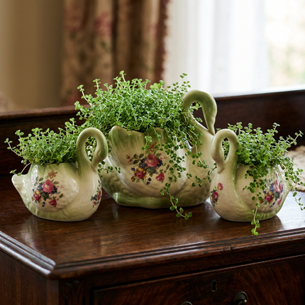 Three ceramic swan-shaped planters with floral detailing, arranged on a dark wooden table with green trailing plants in a softly lit indoor setting.