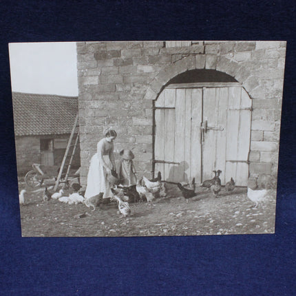 Two women feeding chickens outside a stone building with a blue border.