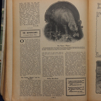 Vintage book page with illustration of a hippopotamus and text