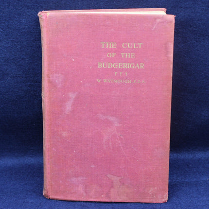 The Cult of the Budgerigar 