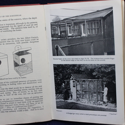 The Cult of the Budgerigar 1956