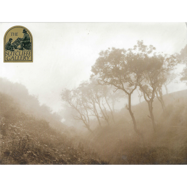 Sutcliffe gallery Photo Print of Trees in a misty valley