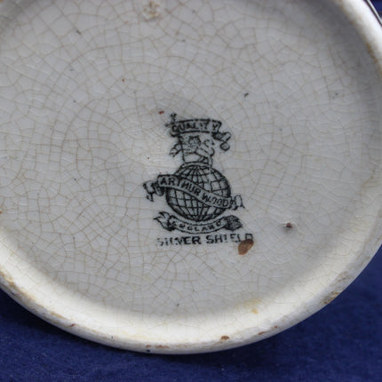 Cracked ceramic plate with a logo and text on a blue background