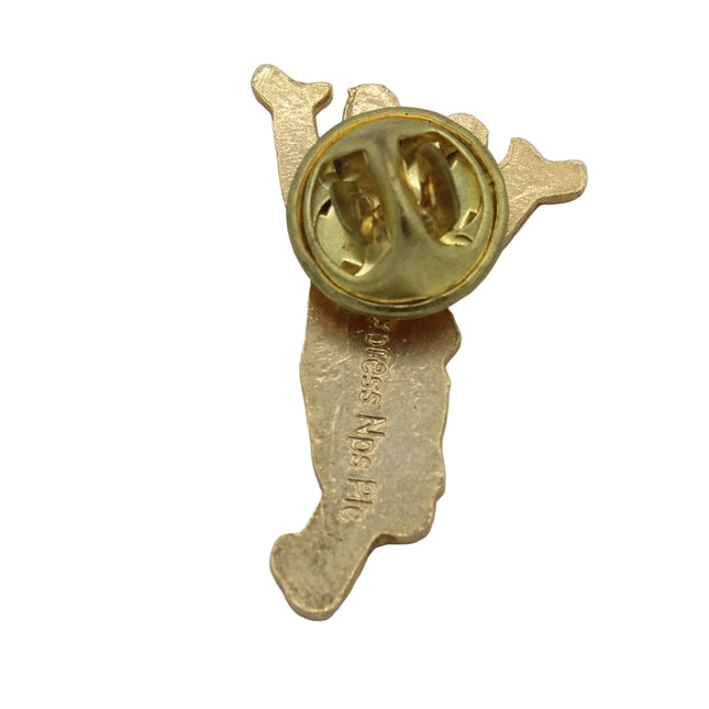 A small gold-colored enamel pin shaped like a stylized map outline, shown from the back with its metal clutch fastener visible, on a plain light gray background.
