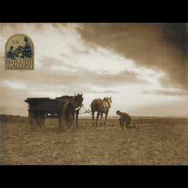 Sutcliffe print of two horses and a cart in a turnip field