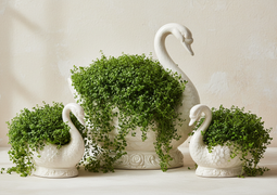 Baby's Tears - Mind Your Own Business