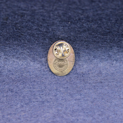Gold pin on a blue textured background